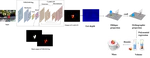 Paper on Real-Time Strawberry Mass Estimation Accepted to IROS 2025